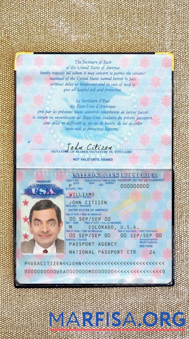 Printable USA passport pre 2007 photo look template